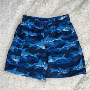 (3 for $10) koala kids swim trunks